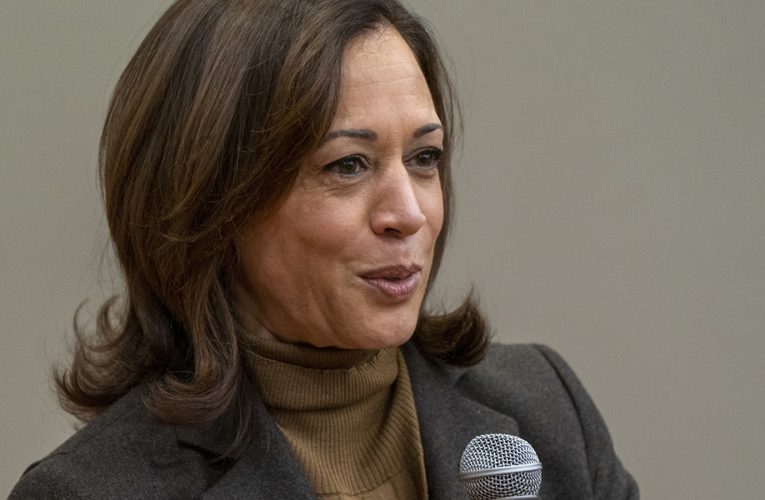 Kamala Harris Coming to Durham, NC to Boost Small Businesses!