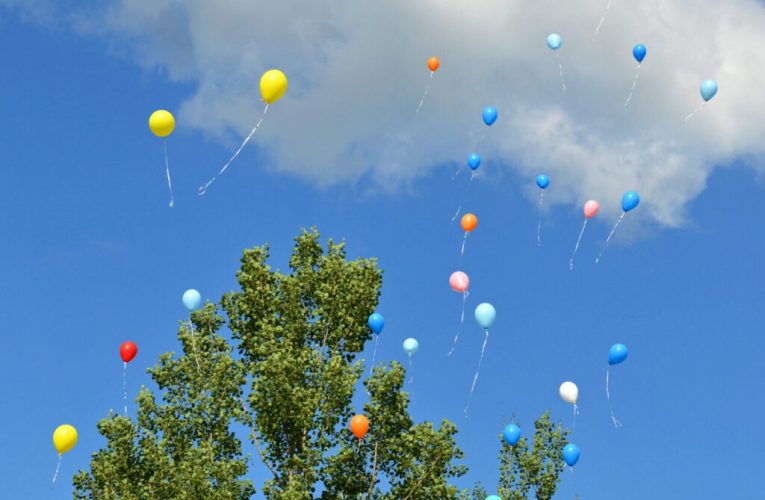 Florida Takes a Stand: New Law Bans Balloon Releases to Safeguard Wildlife and the Environment