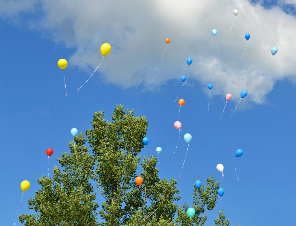 Florida Takes a Stand: New Law Bans Balloon Releases to Safeguard Wildlife and the Environment