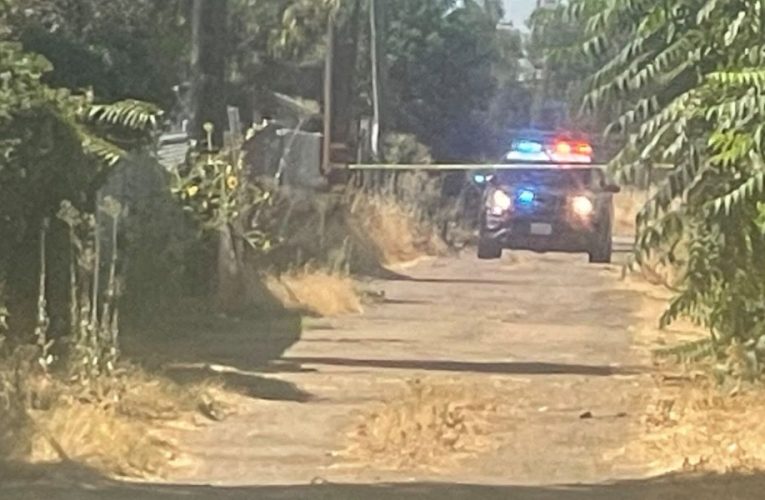 California Police Discover Decaying Body in Shed After Dog Drops Human Head on Sidewalk