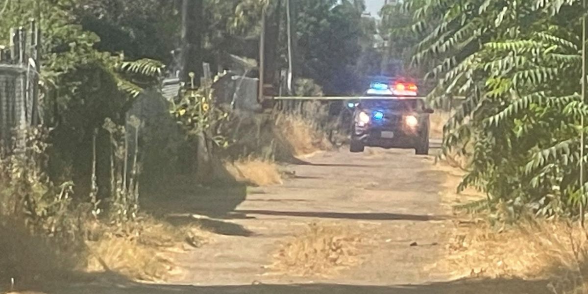 California Police Discover Decaying Body in Shed After Dog Drops Human Head on Sidewalk