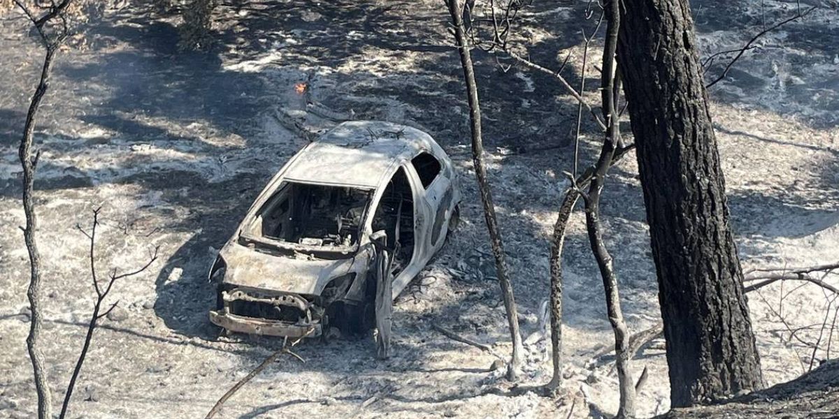 California's Park Fire; Arson Suspect Arrested for Allegedly Rolling Flaming Car Into Ditch, DA Says