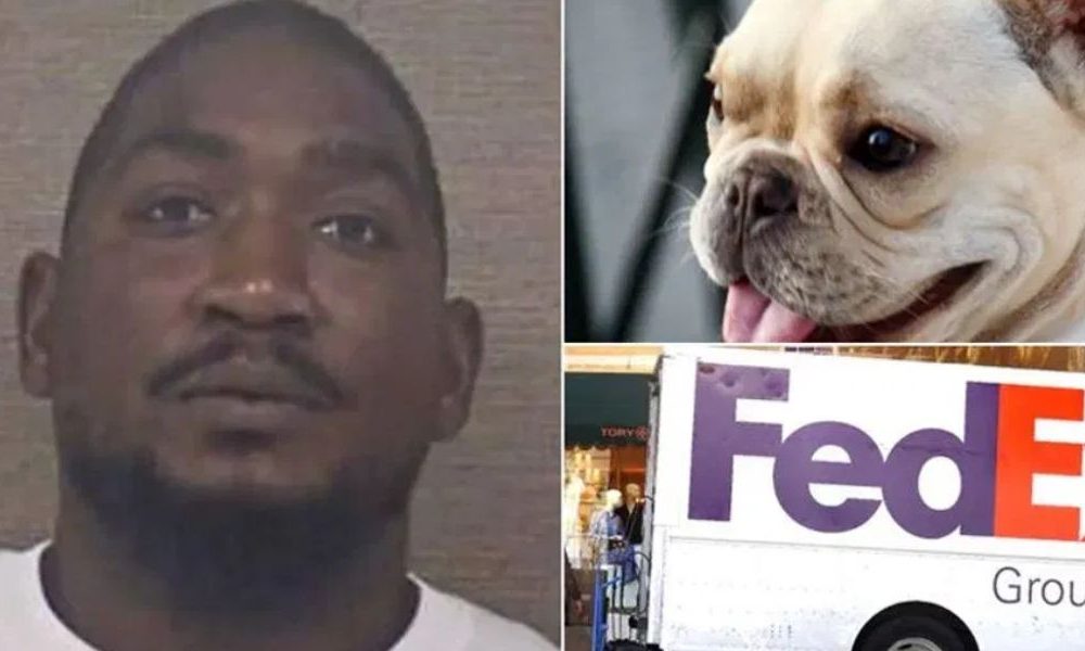 North Carolina Fedex Driver Charged With Animal Cruelty After French Bulldog Dies in Delivery Van
