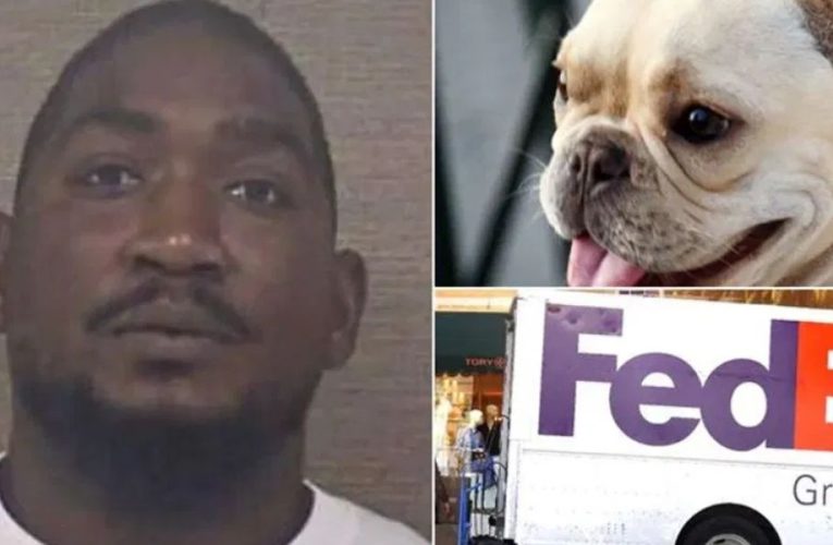 North Carolina Fedex Driver Charged With Animal Cruelty After French Bulldog Dies in Delivery Van