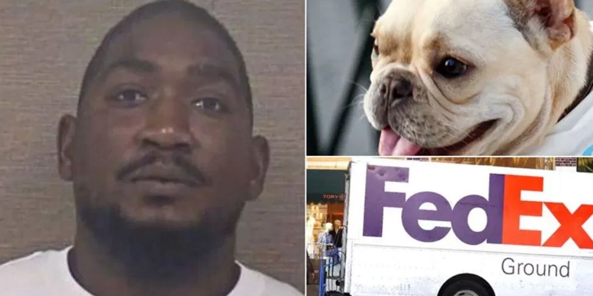 North Carolina Fedex Driver Charged With Animal Cruelty After French Bulldog Dies in Delivery Van