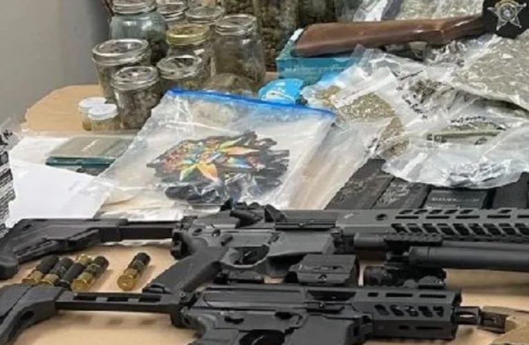 North County Man Faces Multiple Charges After Huge Cache of GUNS, BODY ARMOR, AND PSILOCYBIN MUSHROOMS