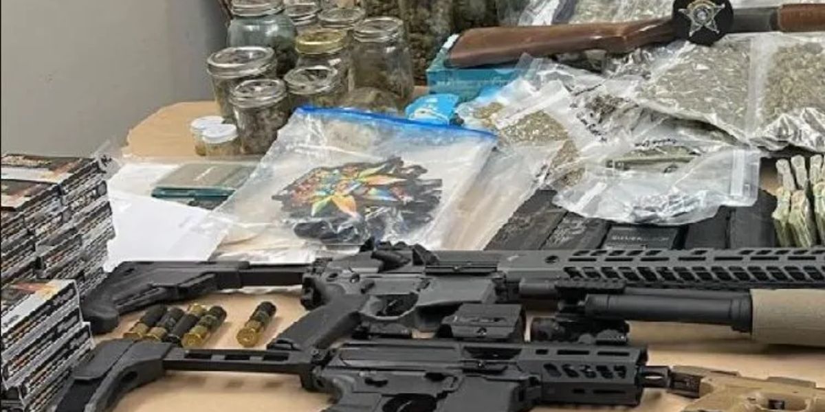 North County Man Faces Multiple Charges After Huge Cache of GUNS, BODY ARMOR, AND PSILOCYBIN MUSHROOMS