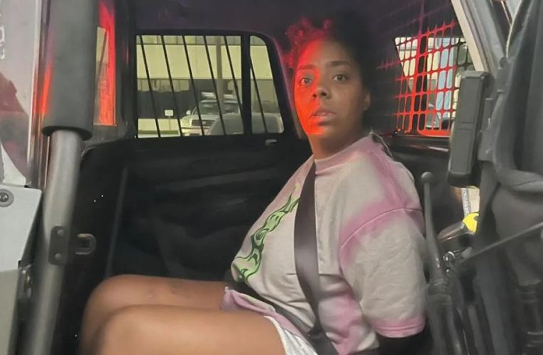 WOMAN ARRESTED in Houston After Attempting to SELL STOLEN CAR ON INTERNET