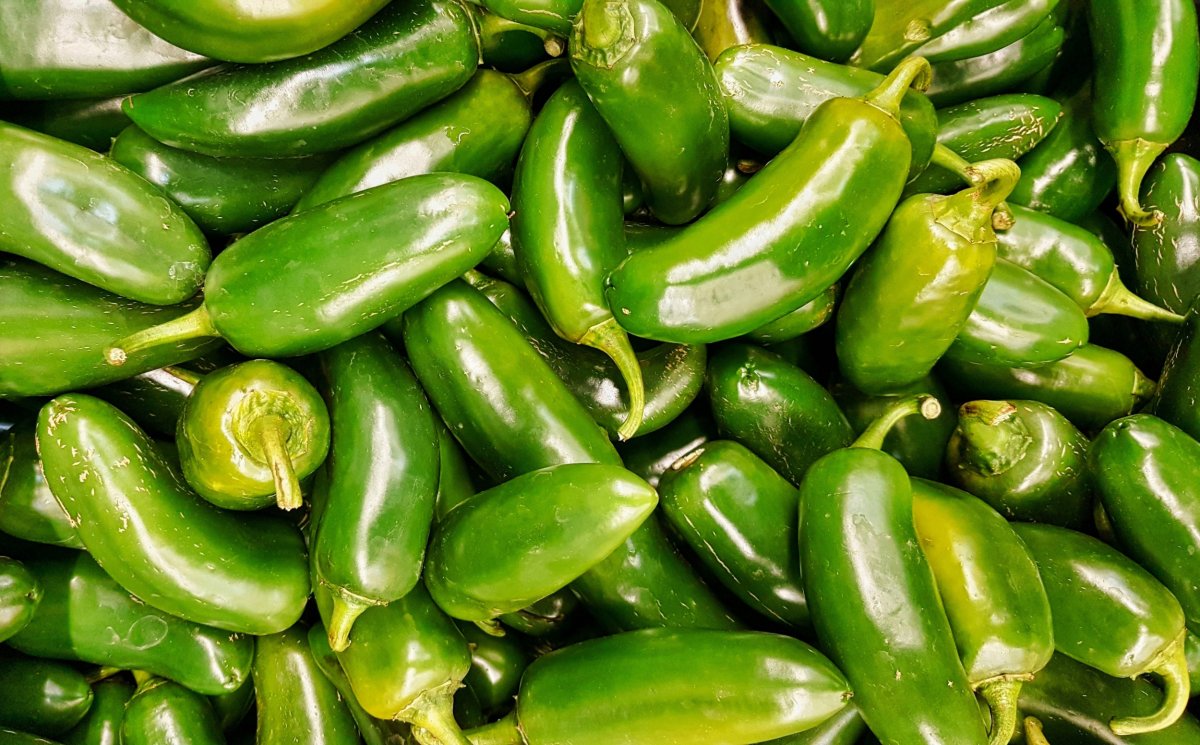 Health Alert: Jalapeño and Green Pepper Recall Announced by RS Hanline Due to Listeria!