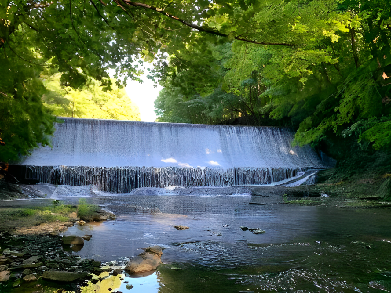 Discover Best Hiking Trails in Troy, NY: 9 Scenic Routes for Every Adventurer