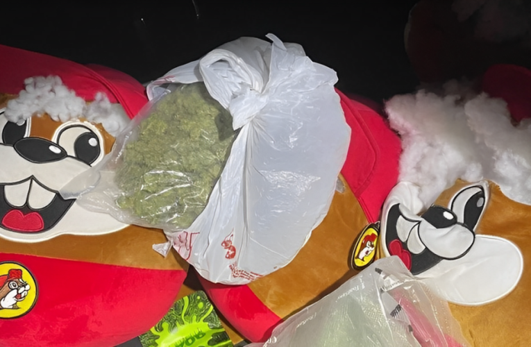 Texas Man Arrested for Hiding Drugs in Stuffed Animals from Buc-ees!