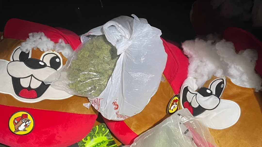 Texas Man Arrested for Hiding Drugs in Stuffed Animals from Buc-ees!