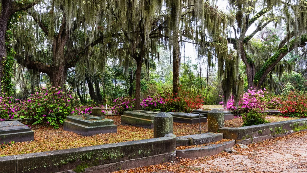 2. Bonaventure Cemetery, Savannah, Georgia