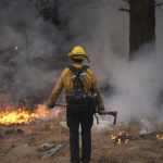 $750 Financial Aid for Wildfire Victims in Southern California