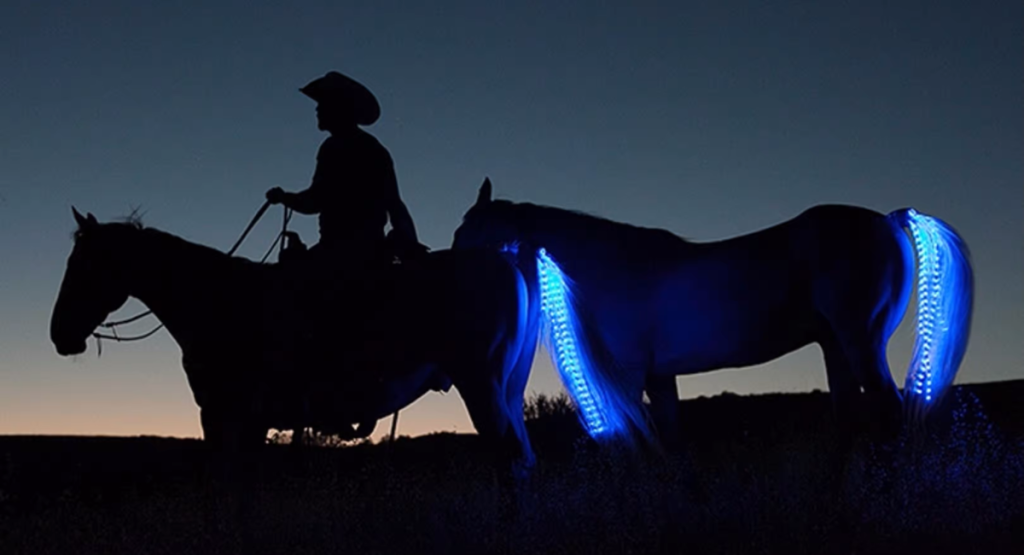  Your Horse Must Have Taillights