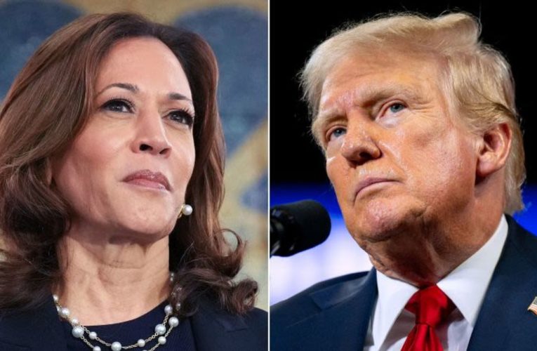 6 Major Ways Trump and Harris Would Tackle a Recession Differently!