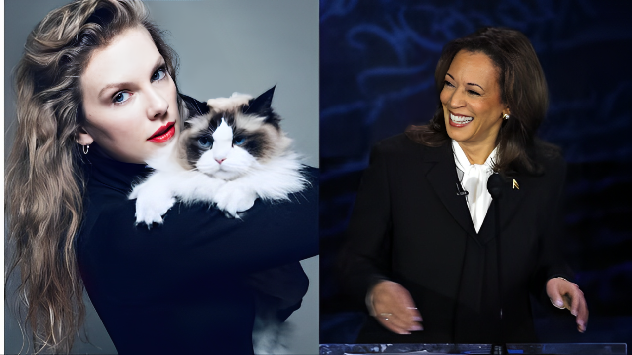 Why Did Harris Sign Taylor Swift's Support of "Childless Cat Lady"?