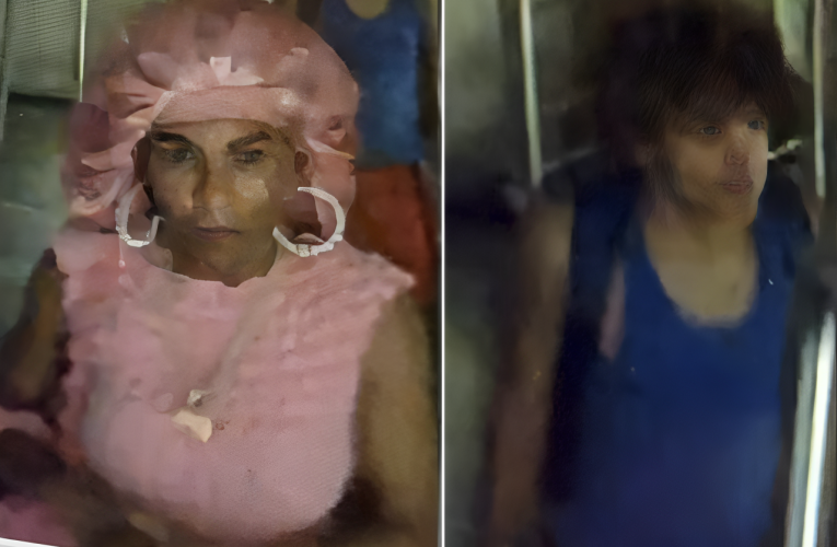 NYC Subway Crash: Two Fugitives on the Loose, One Rocking a Pink Shower Cap!