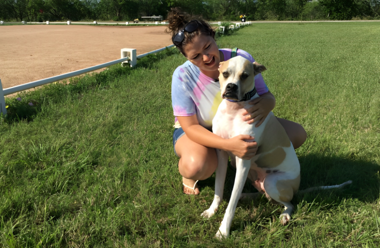 Heartbreaking: Hero Dog Saves Owner from Apartment Fire, Now Desperately Needs a New Home!