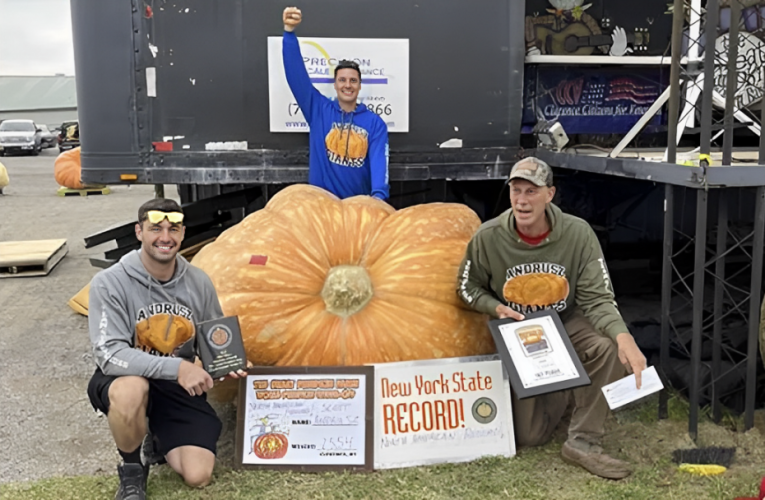 New York State Grows the Biggest Pumpkin of 2024 – Weighing Over 2,000 Pounds!