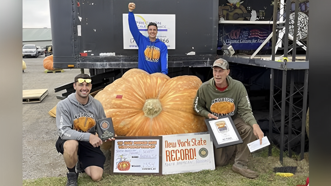 New York State Grows the Biggest Pumpkin of 2024 – Weighing Over 2,000 Pounds