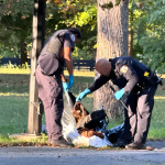 Shocking Details Revealed: Man Found Hanging from Tree in NYC Park