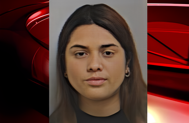 Security Alert: Schenectady Woman Caught Using Fake ID at Airport