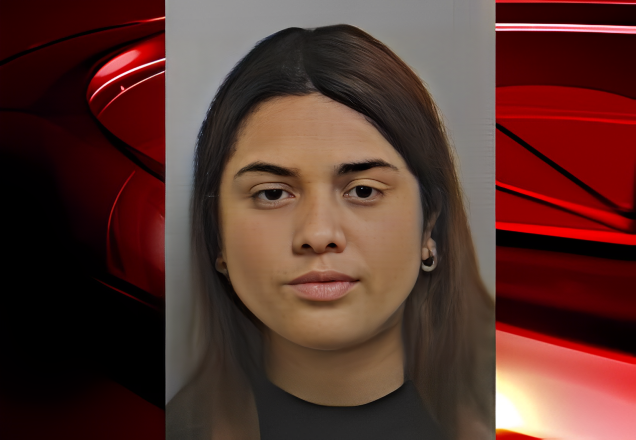 Security Alert: Schenectady Woman Caught Using Fake ID at Airport