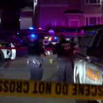 Shocking News: 17-Year-Old Girl Killed in Harris County Shooting!