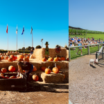 4 Must-Visit Halloween Corn Mazes in the U.S. for a Spooky Adventure!