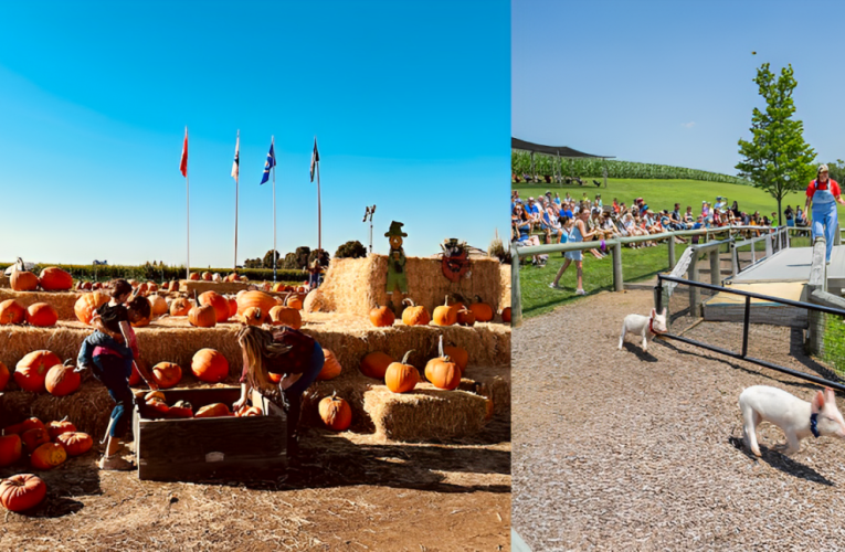 4 Must-Visit Halloween Corn Mazes in the U.S. for a Spooky Adventure!