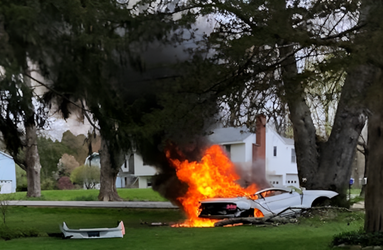 Motorist Killed After Car Crashes Into Tree, Gate, and Catches Fire in Newark!