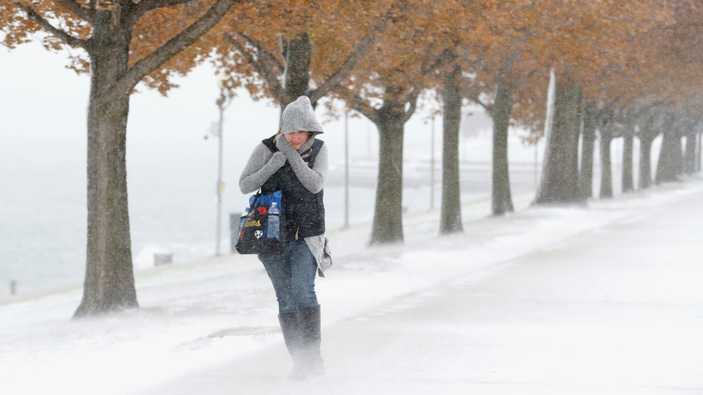 Cold Alert: Freezing Weather Expected in New York on These Days