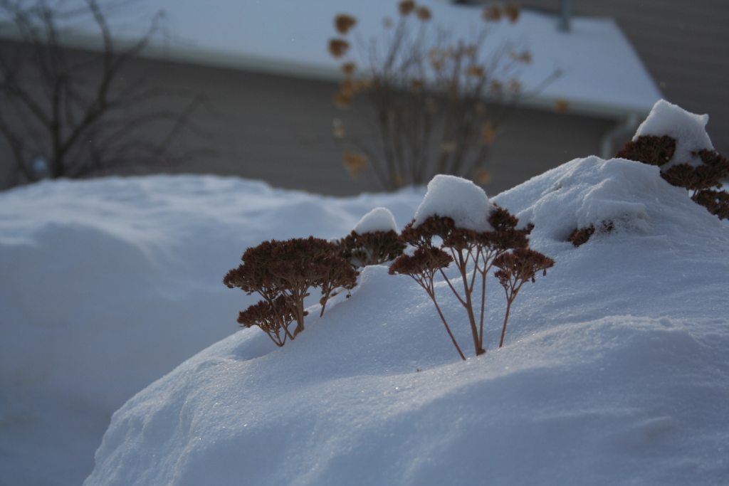 7 Surprising Benefits of Snowstorms in New York You’ll Love