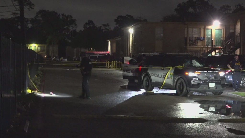 Shocking Attack: Woman Followed and Shot in Face in Houston Apartment Complex