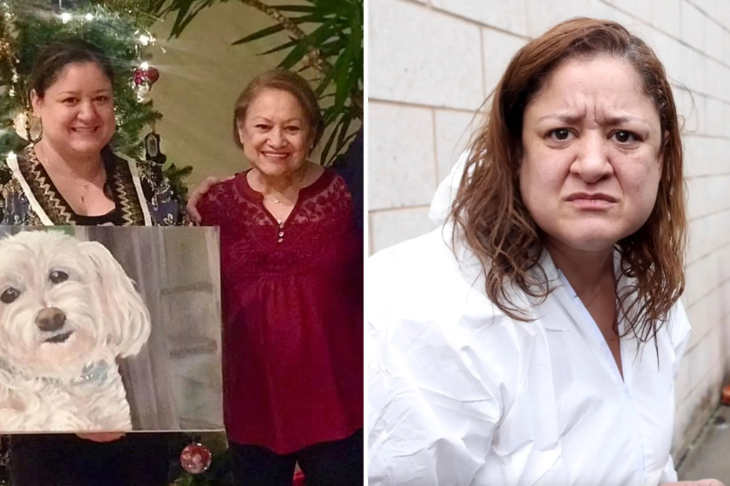 Shocking Thanksgiving Eve Murder: Daughter Stabs 84-Year-Old Mother in Long Island