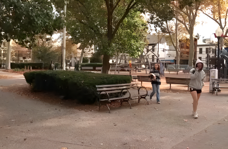 Shocking Attack: Woman Punched and Left Unconscious in Hoboken Park!