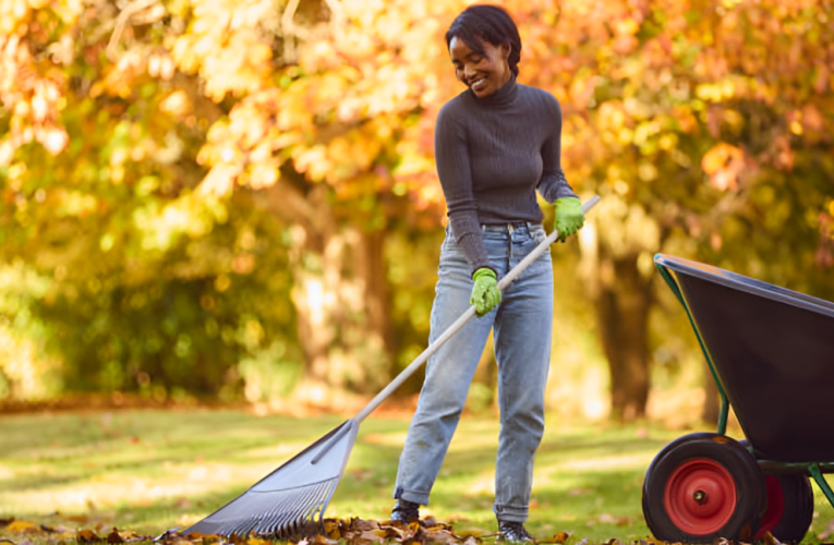 Is Raking Leaves Necessary in New York? Here’s What the Law Says?