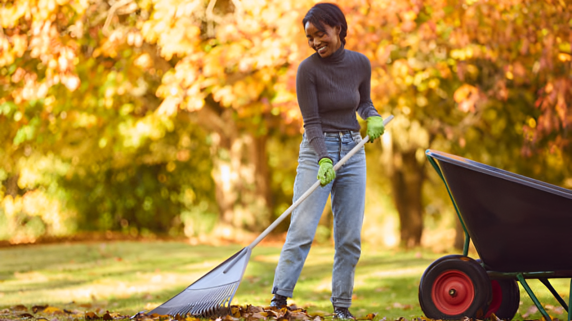 Is Raking Leaves Necessary in New York? Here’s What the Law Says?