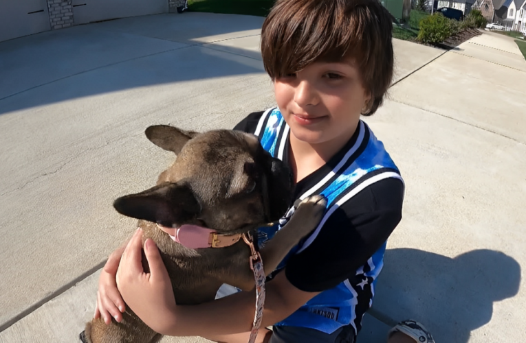 10-Year-Old Boy Finds Missing Puppy After 11 Days, Touching the Hearts of All!