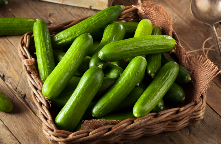 Health Agencies Issue Urgent Recall of Cucumbers After Salmonella Outbreak in 19 States!