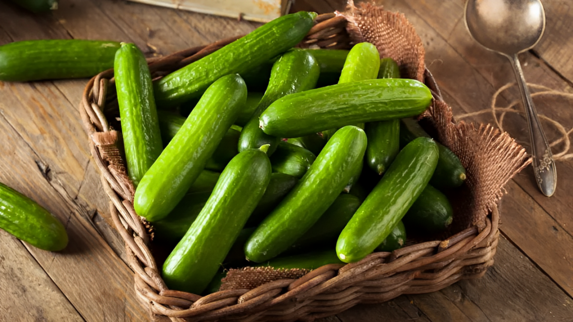 Health Agencies Issue Urgent Recall of Cucumbers After Salmonella Outbreak in 19 States!