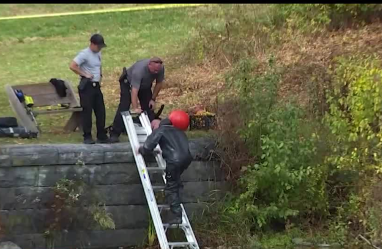 Troy Police Await DNA Results in Case of Human Remains Found in Burden Pond Preserve!