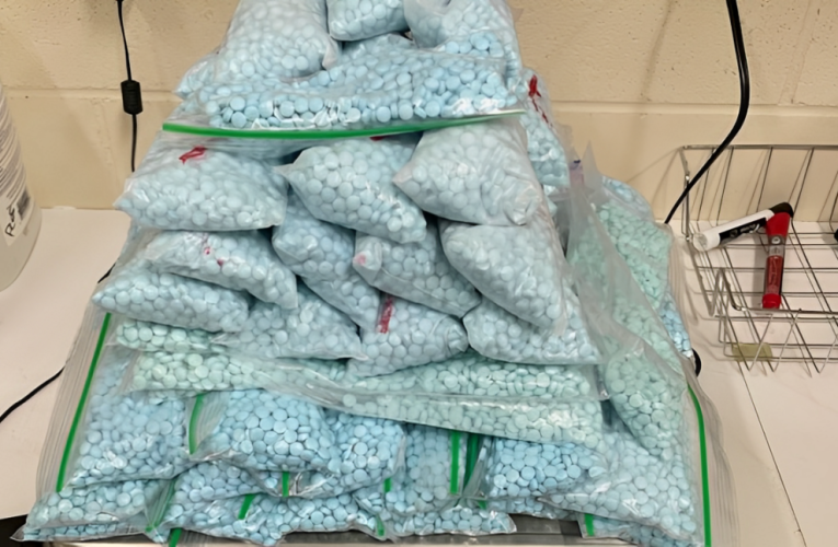 Breaking: $2 Million Drug Mill Busted in the Bronx – 13 Pounds Seized!