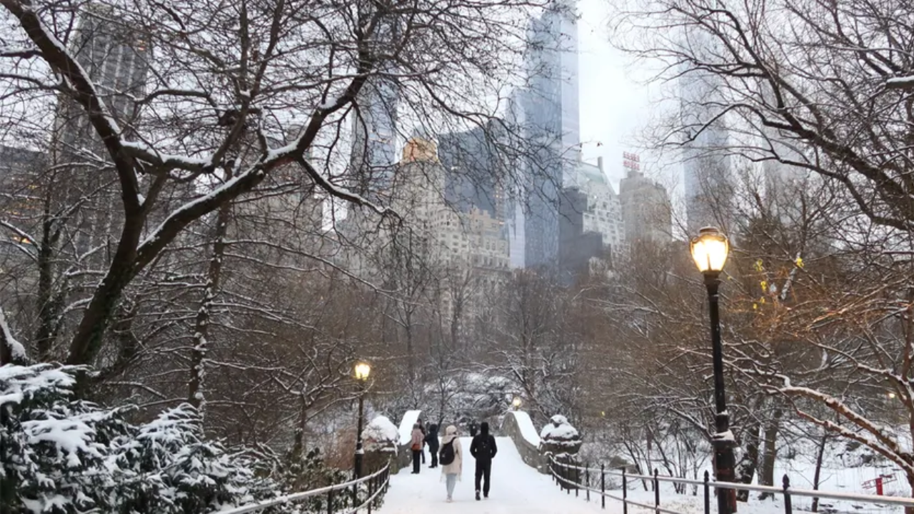 Winter Weather Update: Snow and Wind Expected in NYC This Week!