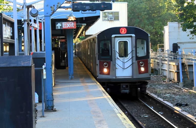 13-Year-Old Boy Falls Onto Subway Tracks in Eastchester After Subway Surfing Incident!