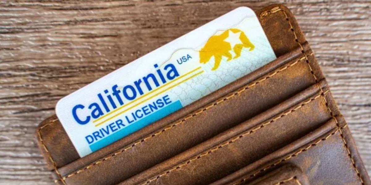 California Driver’s License Renewal Key Changes and Requirements for Drivers