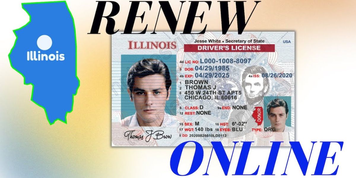 Check Here! New Driver’s License Renewals in Illinois Latest Requirements and Rules for Drivers