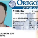 Check New Format! Driver’s License Renewals in Oregon Latest Requirements and Rules for Drivers