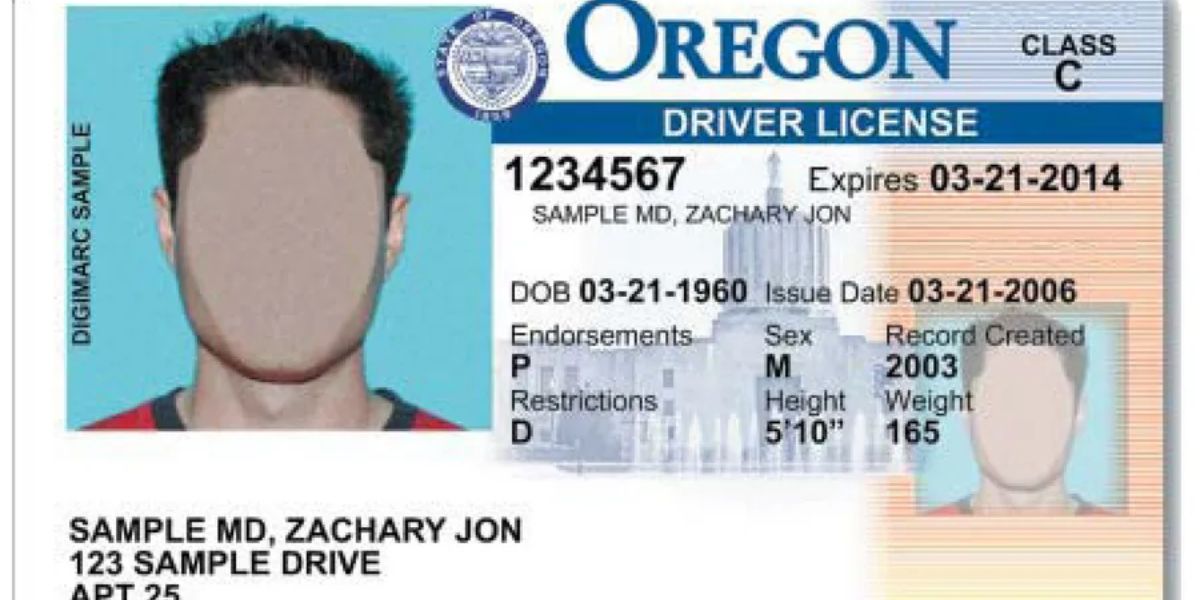 Check New Format! Driver’s License Renewals in Oregon Latest Requirements and Rules for Drivers